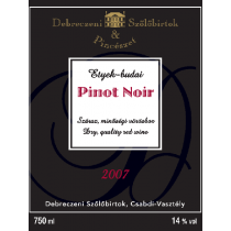 PiNo'12